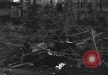 Image of 8th Fighter Group Morotai Island Indonesia, 1944, second 30 stock footage video 65675068921