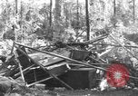 Image of 8th Fighter Group Morotai Island Indonesia, 1944, second 35 stock footage video 65675068921
