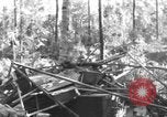 Image of 8th Fighter Group Morotai Island Indonesia, 1944, second 36 stock footage video 65675068921