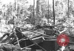 Image of 8th Fighter Group Morotai Island Indonesia, 1944, second 37 stock footage video 65675068921