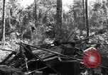 Image of 8th Fighter Group Morotai Island Indonesia, 1944, second 38 stock footage video 65675068921