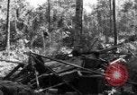 Image of 8th Fighter Group Morotai Island Indonesia, 1944, second 39 stock footage video 65675068921
