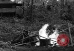 Image of 8th Fighter Group Morotai Island Indonesia, 1944, second 41 stock footage video 65675068921