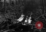 Image of 8th Fighter Group Morotai Island Indonesia, 1944, second 42 stock footage video 65675068921