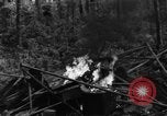 Image of 8th Fighter Group Morotai Island Indonesia, 1944, second 43 stock footage video 65675068921