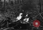 Image of 8th Fighter Group Morotai Island Indonesia, 1944, second 44 stock footage video 65675068921