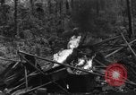 Image of 8th Fighter Group Morotai Island Indonesia, 1944, second 45 stock footage video 65675068921
