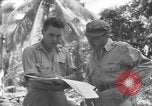 Image of 8th Fighter Group Morotai Island Indonesia, 1944, second 46 stock footage video 65675068921