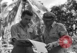 Image of 8th Fighter Group Morotai Island Indonesia, 1944, second 49 stock footage video 65675068921