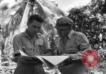 Image of 8th Fighter Group Morotai Island Indonesia, 1944, second 51 stock footage video 65675068921