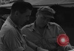 Image of 8th Fighter Group Morotai Island Indonesia, 1944, second 56 stock footage video 65675068921