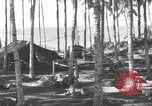 Image of 8th Fighter Group Morotai Island Indonesia, 1944, second 58 stock footage video 65675068921