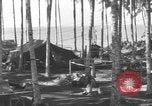 Image of 8th Fighter Group Morotai Island Indonesia, 1944, second 59 stock footage video 65675068921