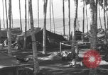 Image of 8th Fighter Group Morotai Island Indonesia, 1944, second 60 stock footage video 65675068921