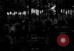 Immagine di 8° Fighter Group Morotai Island Indonesia, 1944, secondo 8 filmato di repertorio 65675068922