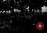 Immagine di 8° Fighter Group Morotai Island Indonesia, 1944, secondo 9 filmato di repertorio 65675068922