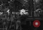 Immagine di 8° Fighter Group Morotai Island Indonesia, 1944, secondo 11 filmato di repertorio 65675068922