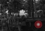 Immagine di 8° Fighter Group Morotai Island Indonesia, 1944, secondo 12 filmato di repertorio 65675068922