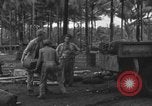 Immagine di 8° Fighter Group Morotai Island Indonesia, 1944, secondo 14 filmato di repertorio 65675068922
