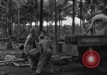 Immagine di 8° Fighter Group Morotai Island Indonesia, 1944, secondo 15 filmato di repertorio 65675068922