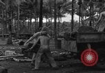 Immagine di 8° Fighter Group Morotai Island Indonesia, 1944, secondo 16 filmato di repertorio 65675068922