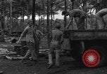 Immagine di 8° Fighter Group Morotai Island Indonesia, 1944, secondo 18 filmato di repertorio 65675068922