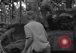 Immagine di 8° Fighter Group Morotai Island Indonesia, 1944, secondo 20 filmato di repertorio 65675068922