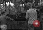 Immagine di 8° Fighter Group Morotai Island Indonesia, 1944, secondo 21 filmato di repertorio 65675068922