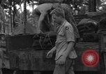 Immagine di 8° Fighter Group Morotai Island Indonesia, 1944, secondo 22 filmato di repertorio 65675068922