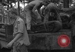 Immagine di 8° Fighter Group Morotai Island Indonesia, 1944, secondo 23 filmato di repertorio 65675068922