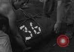 Immagine di 8° Fighter Group Morotai Island Indonesia, 1944, secondo 25 filmato di repertorio 65675068922