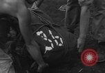 Immagine di 8° Fighter Group Morotai Island Indonesia, 1944, secondo 26 filmato di repertorio 65675068922