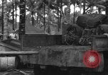 Immagine di 8° Fighter Group Morotai Island Indonesia, 1944, secondo 30 filmato di repertorio 65675068922