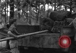 Immagine di 8° Fighter Group Morotai Island Indonesia, 1944, secondo 31 filmato di repertorio 65675068922