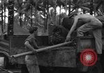 Immagine di 8° Fighter Group Morotai Island Indonesia, 1944, secondo 32 filmato di repertorio 65675068922