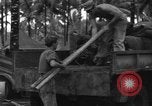Immagine di 8° Fighter Group Morotai Island Indonesia, 1944, secondo 33 filmato di repertorio 65675068922