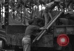 Immagine di 8° Fighter Group Morotai Island Indonesia, 1944, secondo 34 filmato di repertorio 65675068922