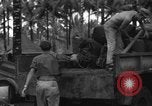 Immagine di 8° Fighter Group Morotai Island Indonesia, 1944, secondo 35 filmato di repertorio 65675068922