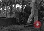 Immagine di 8° Fighter Group Morotai Island Indonesia, 1944, secondo 39 filmato di repertorio 65675068922