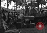 Immagine di 8° Fighter Group Morotai Island Indonesia, 1944, secondo 40 filmato di repertorio 65675068922
