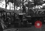 Immagine di 8° Fighter Group Morotai Island Indonesia, 1944, secondo 41 filmato di repertorio 65675068922