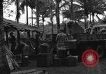 Immagine di 8° Fighter Group Morotai Island Indonesia, 1944, secondo 42 filmato di repertorio 65675068922