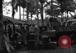 Immagine di 8° Fighter Group Morotai Island Indonesia, 1944, secondo 43 filmato di repertorio 65675068922