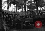 Immagine di 8° Fighter Group Morotai Island Indonesia, 1944, secondo 44 filmato di repertorio 65675068922