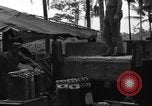 Immagine di 8° Fighter Group Morotai Island Indonesia, 1944, secondo 47 filmato di repertorio 65675068922