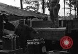 Immagine di 8° Fighter Group Morotai Island Indonesia, 1944, secondo 48 filmato di repertorio 65675068922