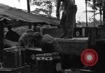 Immagine di 8° Fighter Group Morotai Island Indonesia, 1944, secondo 50 filmato di repertorio 65675068922