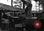 Immagine di 8° Fighter Group Morotai Island Indonesia, 1944, secondo 51 filmato di repertorio 65675068922