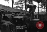 Immagine di 8° Fighter Group Morotai Island Indonesia, 1944, secondo 52 filmato di repertorio 65675068922
