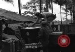 Immagine di 8° Fighter Group Morotai Island Indonesia, 1944, secondo 53 filmato di repertorio 65675068922